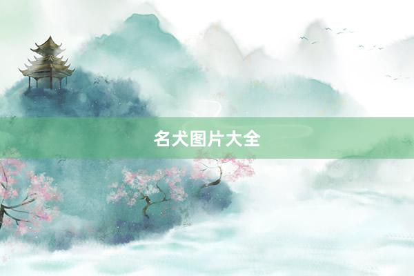 名犬图片大全
