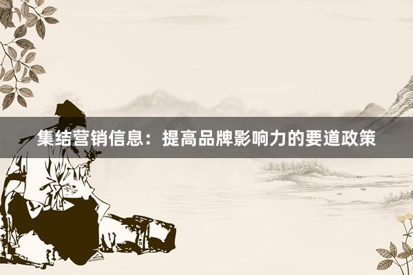 集结营销信息：提高品牌影响力的要道政策